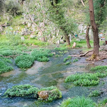 Alpesi faház Panoraea Mountain