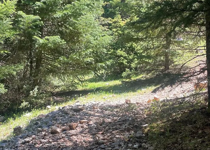 Panoraea Mountain Chalet Kalavryta